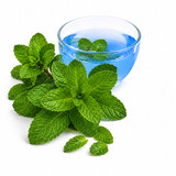 Aromatherapy Sea Salt Soak: Peppermint (1 Gal)
